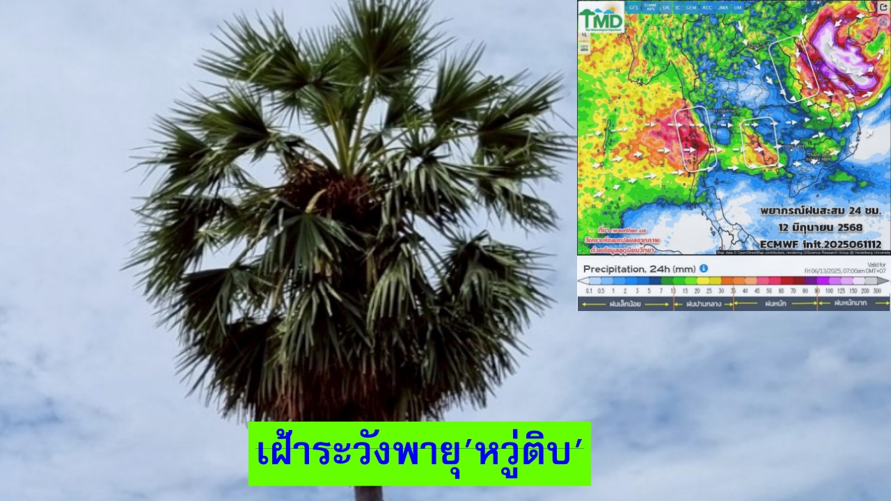 พายุ ‘หวู่ติบ’ ไม่เข้าไทย แต่ส่งผลให้อีสานฝั่งตะวันออก ฝนเพิ่มขึ้น-ตกหนัก